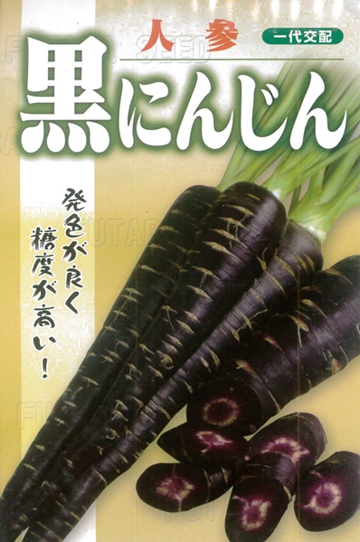 一代交配 黒にんじん 300粒コート