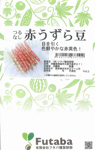 野菜・熱帯果樹の種 ＞ 豆類 ＞ 赤うずら豆 大袋【約1000粒入】