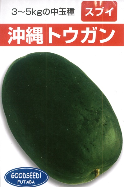野菜・熱帯果樹の種 ＞ その他瓜類 ＞ 沖縄冬瓜 【約700粒入】