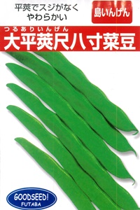 CQ