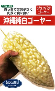 ꏃS[[q