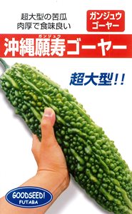 S[[q