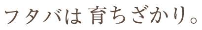 t^o͈炿B